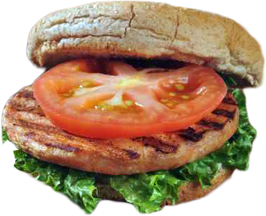 Lemony Salmon Burgers