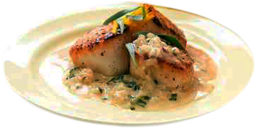  Scallops in Sage Cream
