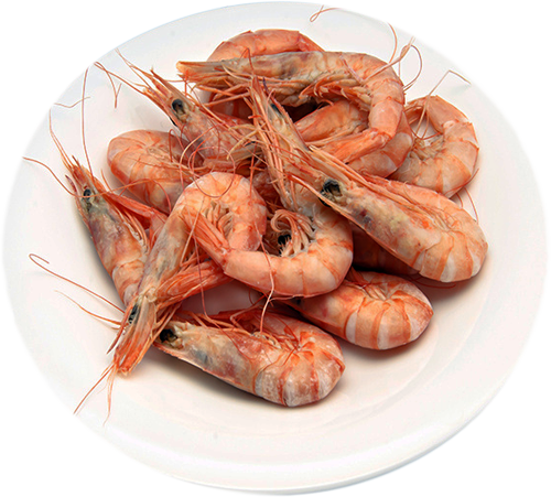 Perfect Prawns