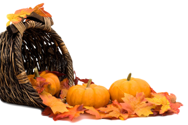 Toasted Pumpkin Seeds with Sugar and Spice