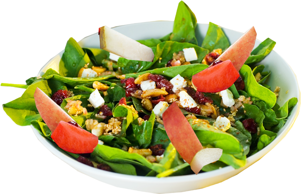 Apple Avocado Salad with Tangerine Dressing