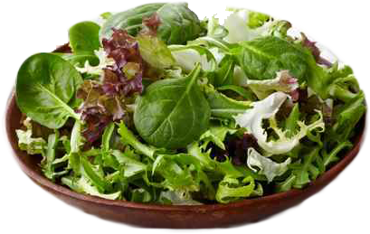 Grilled Radicchio Salad with Lemon Vinaigrette 